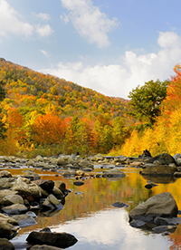 West Virginia - Mountain Stream